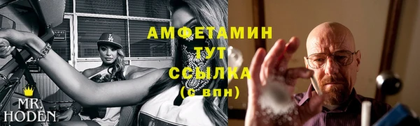сатива Нефтекумск
