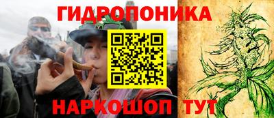 тгк Кинель