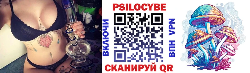 Галлюциногенные грибы Psilocybine cubensis Ростов-на-Дону