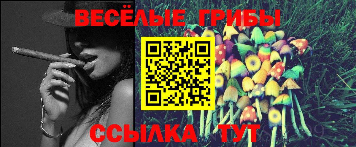 где купить наркоту  Вход с VPN  Ростов-на-Дону  Псилоцибиновые грибы мицелий 
